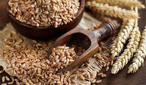 nutritional comparison farro vs barley