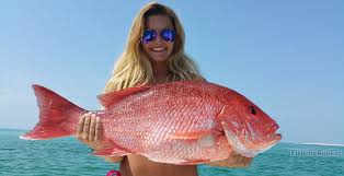 How To Become A Fishing Guide In Florida