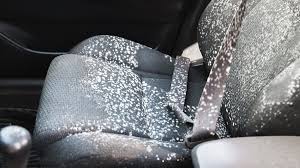 remove mold from your car interior