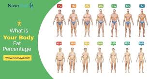 what is your body fat percene