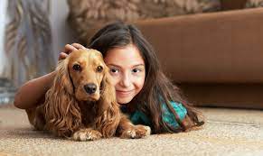 how to remove pet dander from carpet