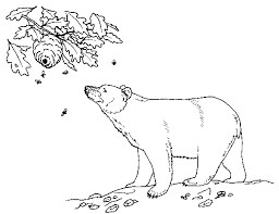 These alphabet coloring sheets will help little ones identify uppercase and lowercase versions of each letter. Black Bear 2 Animal Coloring Pages Polar Bear Coloring Page Bear Coloring Pages