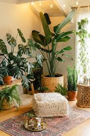 A Lush Indoor Garden