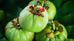 All About Garcinia Cambogia Everyday Health