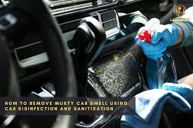 musty car smell using car disenfection