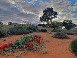 Australian Arid Lands Botanic Garden