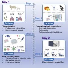 respiratory syncytial virus infection