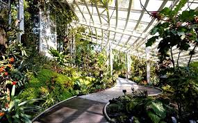 Free Entry To National Orchid Garden