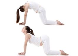 Find relief with yoga using a cat to cow pelvic tilt. 5 Best Yoga Poses For Pregnant Women Healthywomen