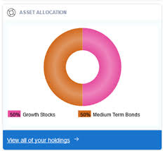 Asset Allocation Pie Chart