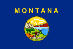 Image result for montana