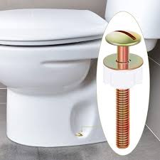 Toilet Seat Hinge Bolts