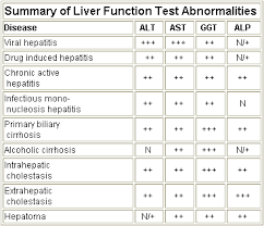 Liver Function Test Diagnosing Liver Problemszipheal