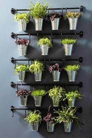 Diy Plant Wall In Your Office