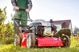 Lawn Care Tools For New Homeowners