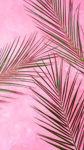 Looking for the best cute pink wallpapers for iphone? 10 Super Pretty Iphone X Wallpapers Preppy Wallpapers Preppy Wallpaper Pink Wallpaper Iphone Leaf Art