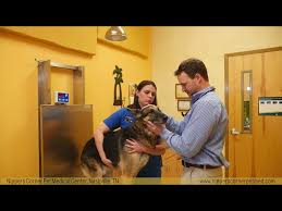 We hope the following pages will be both informative and enjoyable. Nippers Corner Pet Medical Center Nashville Tn Veterinarian