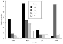 Grouping The Bars On A Bar Plot With R Dummies