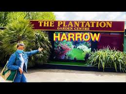 the plantation garden centre in harrow