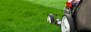 How High To Mow The Lawn Bioadvanced