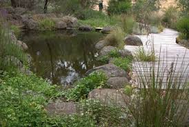 Water Garden Planting Mallee Design