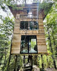 rainforest treehouse in johor