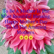 21 Beautiful Mother's Day Quotes ...