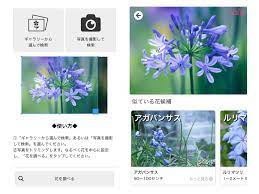 写真で花検索！新機能「写真で調べる『コノハナナニ』」を提供開始 | NTTレゾナント プレスリリース