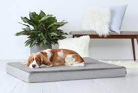 mattress bed bark home