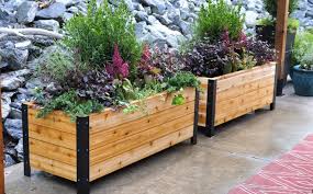 best raised garden beds planter boxes