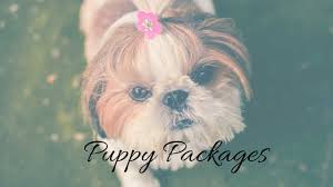 The puppy vaccination series can help save your dog's life. Puppy Shots Packages In Dallas Fort Worth Tx Low Cost Pet Vax
