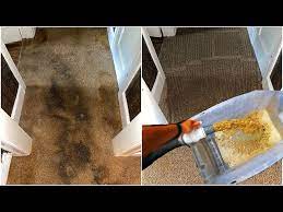 deep cleaning heavily soiled carpet for