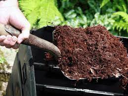 How To Make Soil Acidic 11 Tips To Try