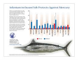 5 Reasons Why Concerns About Mercury In Fish Are Misguided