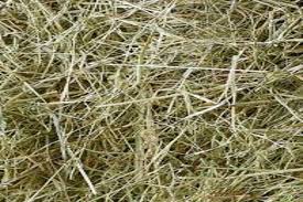 small bale meadow mix hay wrapped