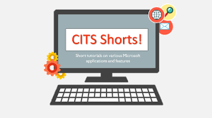 introducing cits shorts the elm