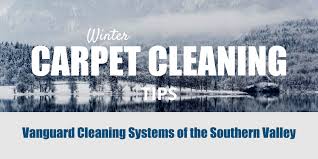 carpet cleaning tips for the winter