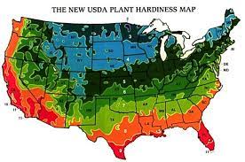 hardiness zones