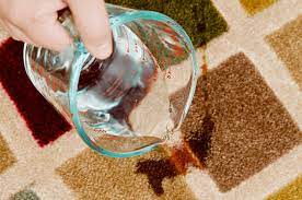 how to remove pet stains from carpet