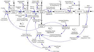 Stock And Flow Diagram Of Beef Cattle Production System In