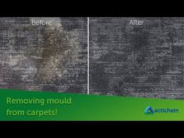 how to remove mould from carpets you
