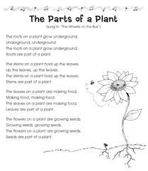 The parts of a song are the main sections that form the structure or outline of the whole composition. The Parts Of A Plant Song To The Tune Of The Wheels On The Bus Plant Song Parts Of A Plant Plant Lessons