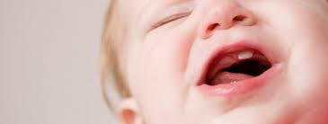 Aber bei einem etwa sechs monate altem säugling, in dessen kiefer sich die ersten zähne bereits ankündigen, kann man durchaus schon mal spielerisch mit der mundhygiene. Zahnen Bei Babys 8211 Die Ausrede Fur Schreihals Eltern Babymarkt De