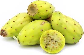 green cactus pears information and facts