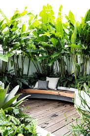 10 Trendy Tropical Garden Ideas To