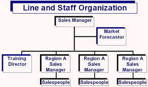 The Line And Staff Organisation In Organisation Types Iibm Lms