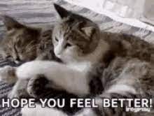 Feel better memes are sweet, cute, and funny. Hope You Feel Better Gifs Tenor