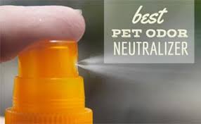 What's The Best Pet Odor Neutralizer For Dogs, Cats & Homes?