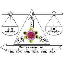 Nitrogen And Hydrogen Chemisorption