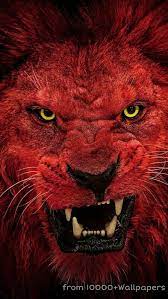 Red lion, king, HD mobile wallpaper ...
